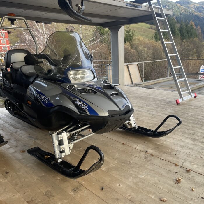 Motorschlitten Arctic Cat Bearcat 660