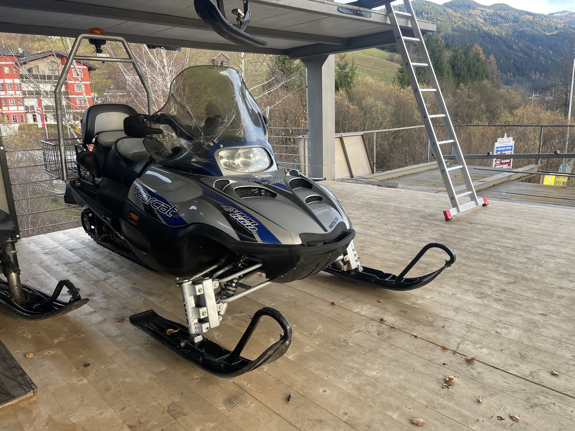 Motorschlitten Arctic Cat Bearcat 660